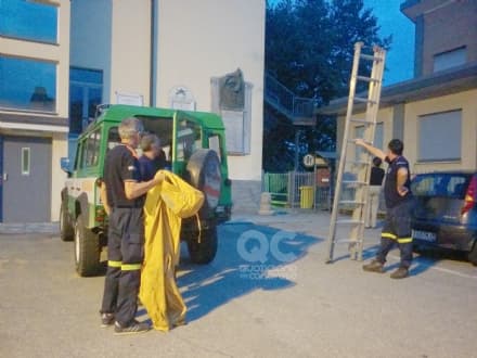 PRASCORSANO - Gli Aib liberano le poste dai calabroni - FOTO