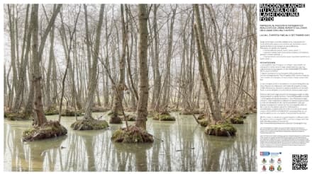IVREA - L'area dei 5 Laghi sarà raccontata attraverso le foto di tutti i cittadini