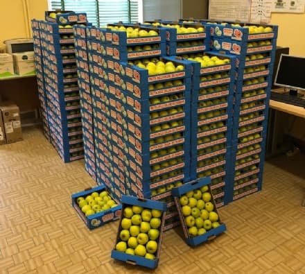 AGLIE' - Ancora un successo delle «Mele per la Salute»