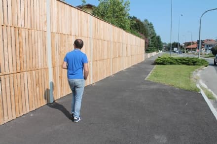 LOCANA - Le pecore canavesane meglio della ninna nanna