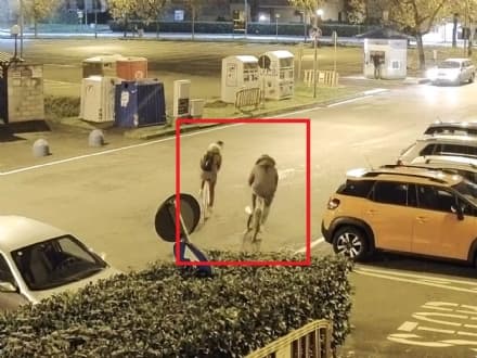 BORGARO - Rubano una bici ma vengono ripresi dalle telecamere