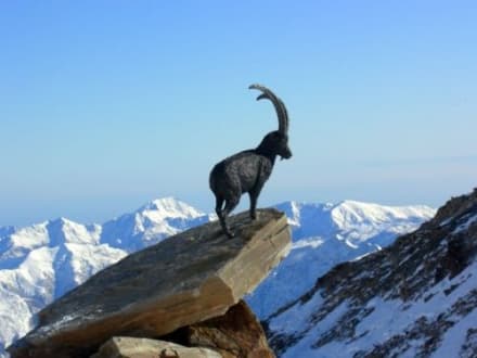 GRAN PARADISO - Il Parco Nazionale alla Fiera Internazionale del Turismo di Berlino