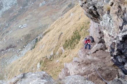 CANAVESE - Animali dispersi in montagna: doppia operazione di recupero da parte del soccorso alpino - FOTO