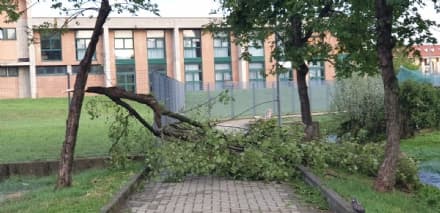 MAPPANO - Danni per il nubifragio, scuola media allagata - FOTO