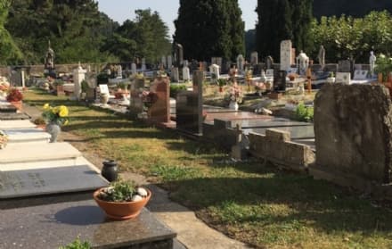 IVREA - Ladri tra le tombe del cimitero fanno sparire piante e fiori: «Aggiungono solo dolore al dolore»