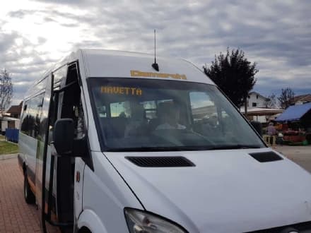 VOLPIANO - Navetta gratis per il mercato, 1985 utenti in sei mesi