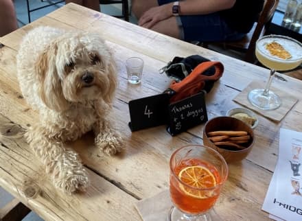PET - Londra, l'aperitivo con e per i cani
