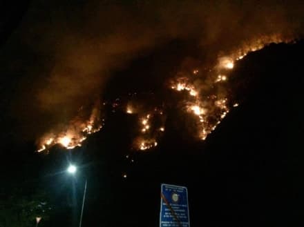 ALLARME INCENDI - Ancora incendi dolosi in tutto il Canavese: paura per il ritorno del vento - FOTO