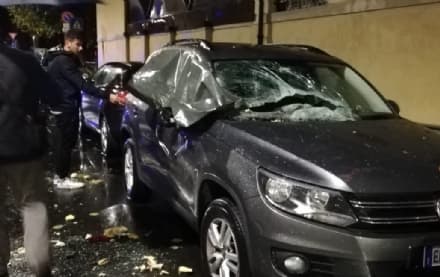 CANAVESE - Maltempo: alberi giù e danni in diversi Comuni - FOTO
