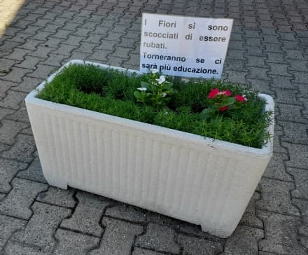 CUORGNE' - Rubano le piantine della chiesa di San Luigi: «I fiori si sono scocciati di essere rubati» - FOTO