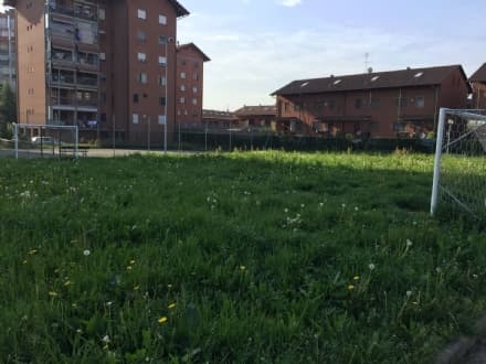 MAPPANO - «Nessuno taglia l'erba: verde pubblico dimenticato» - FOTO