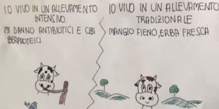 CIRIE' - All'Ipercoop «Quello che mangio cambia il mondo»