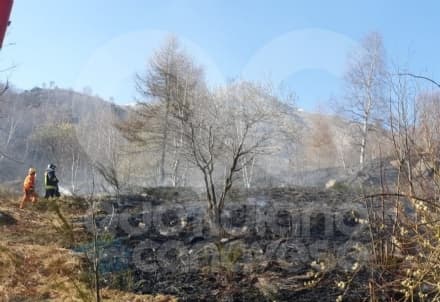 CANAVESE - Ancora incendi boschivi: vigili del fuoco e Aib al lavoro vicino a Santa Elisabetta - FOTO
