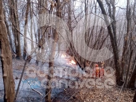 PRATIGLIONE - Bruciano i boschi nella zona di Chiappignolo: squadre Aib al lavoro