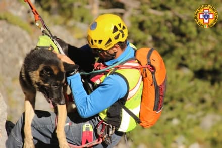 CANI DA SOCCORSO - A Bardonecchia brevetto per Ghea del Soccorso Alpino Canavesano - FOTO