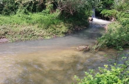 BUSANO - Torrente inquinato cambia colore - FOTO e VIDEO
