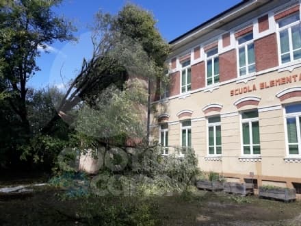 MALTEMPO - Ad Agliè la situazione peggiore: albero si abbatte sulla scuola elementare