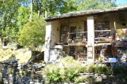 TRAVERSELLA - La biblioteca del lupo nei boschi della Valchiusella