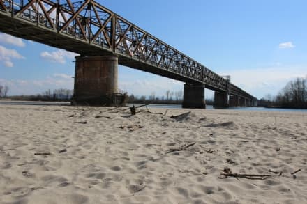 AMBIENTE - Allarme siccità: il Po è in secca