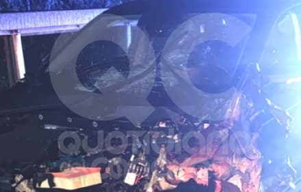 VOLPIANO - 36enne di Chiaverano investe un capriolo sull'autostrada: mezzo distrutto, animale morto sul colpo - FOTO