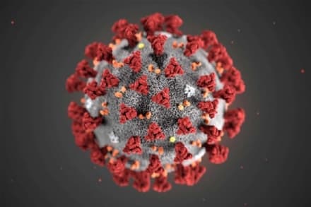 COVID IN CANAVESE - Sono 205 i ricoverati covid negli ospedali di Ivrea, Chivasso, Ciriè, Cuorgnè e Lanzo - I DATI