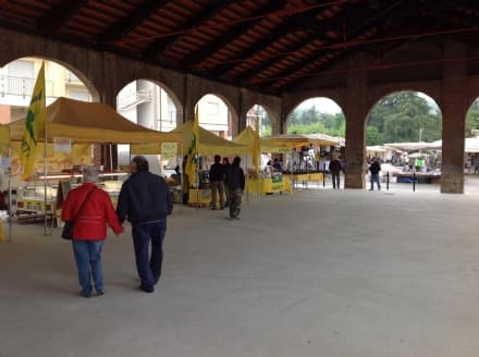 CASTELLAMONTE - Cade al mercato e si ferisce alle mani: scatta la denuncia al Comune