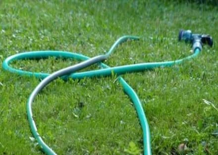 CHIVASSO - Spreco di acqua in città: giardini irrigati nonostante la siccità - VIDEO