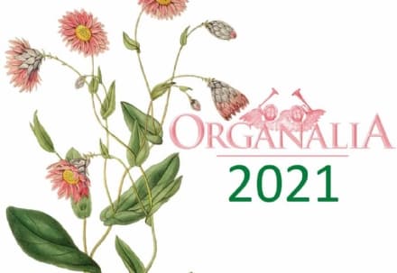 EVENTI - Organalia 2021, la musica degli organi nei luoghi sacri