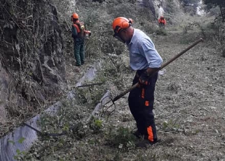 CANAVESE - In arrivo un bonus di 600 euro per i forestali