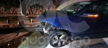 SAN GIORGIO CANAVESE - Incidente con 8 cinghiali in autostrada: auto distrutta - FOTO