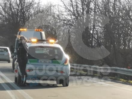 FORTE VENTO SUL CANAVESE - Piante abbattute, paura sulla 460. In quota a Ceresole raffiche a 178 chilometri orari