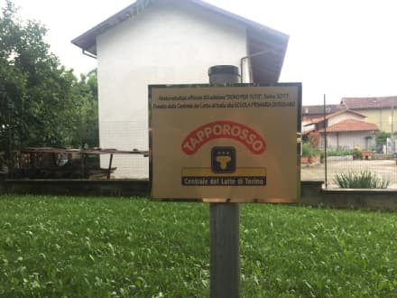 BUSANO - Messo a dimora l'albero di «Un Dono per tutti»