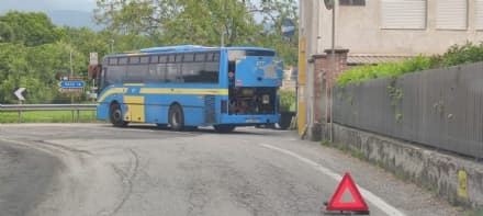 E' SUCCESSO IN CANAVESE - Il 2021 l'anno nero del trasporto pubblico locale