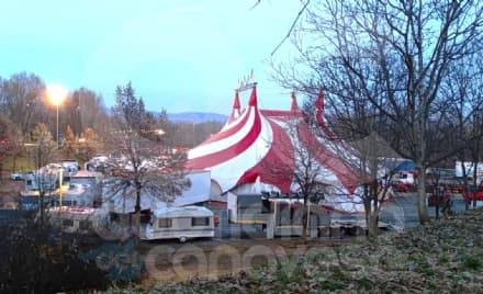 RIVAROLO CANAVESE - Circo con gli animali in piazza: Comune contrario ma lo spettacolo si fa lo stesso