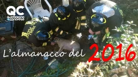 L'ALMANACCO DEL CANAVESE - Tutto quello che è successo nel 2016