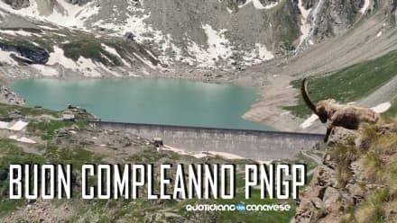 100 anni di storia, l'esempio da seguire del Parco nazionale del Gran Paradiso
