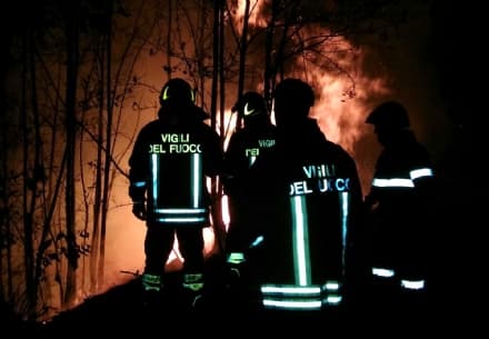 ALMANACCO 2015 - Cosa è successo a Novembre e Dicembre