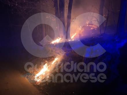 CASTELLAMONTE - Boschi secchi, scatta l'allarme incendi: nella notte provvidenziale intervento di vigili del fuoco e Aib - FOTO