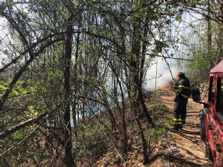 CANAVESE - Ancora incendi boschivi a Cuorgnè e Santa Elisabetta: vigili del fuoco al lavoro