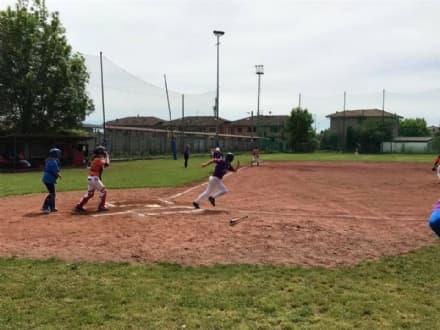 CASTELLAMONTE - «Via il campo sportivo ai Red Clay»: la questione baseball infiamma la città