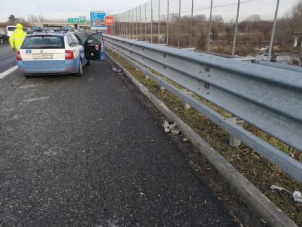 BORGARO - Sassi contro le auto dal campo nomadi: un'auto colpita