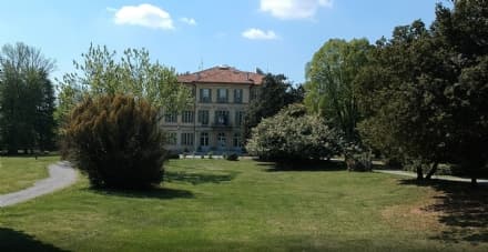 RIVARA - Lavori pubblici e manutenzioni: via libera del Consiglio comunale