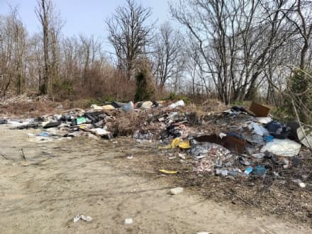 VOLPIANO - Un «mare» di spazzatura a bordo strada, corso Europa ridotto a discarica - FOTO e VIDEO
