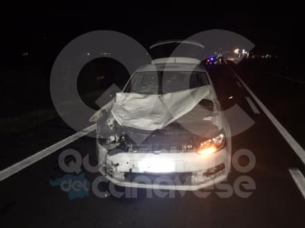 BAIRO - Incidente nel cuore della notte sulla Pedemontana: auto travolge una mucca - FOTO