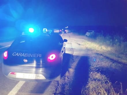 RIVAROLO-BOSCONERO - Cinghiale investito: tre auto danneggiate