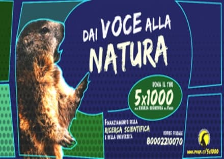 PARCO GRAN PARADISO - Dai voce alla Natura, dona il 5x1000 alla ricerca del Parco - VIDEO