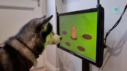 PET - La consolle videogames per i cani