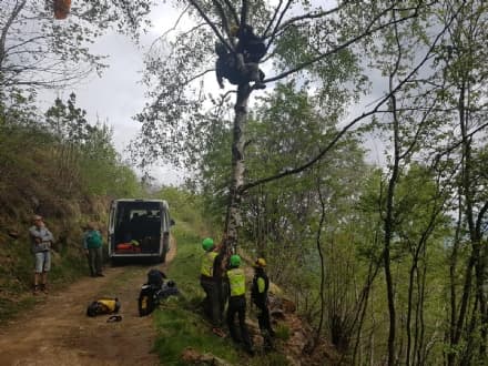 BROSSO - Parapendista precipita e resta appeso ad un albero - FOTO