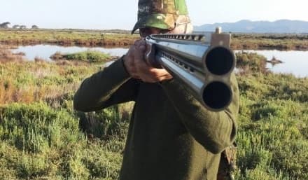 ALLERTA LUPI - Legambiente: «Sparare al lupo? Soluzione di pancia, priva di fondamenti scientifici e dannosa»