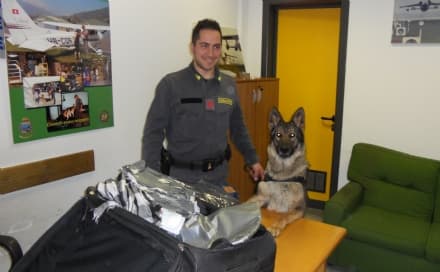 CASELLE - Il fiuto dei cani incastra lo spacciatore - VIDEO